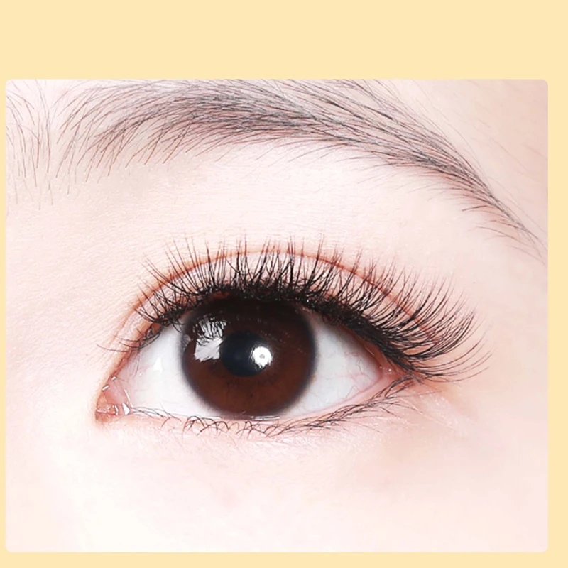 10D Eyelash Faux Mink Black Eyelash Extension, Soft Natural Grafting Eyelash, 60 Bundes, Fake Lashes, Individual Make up Cilia,