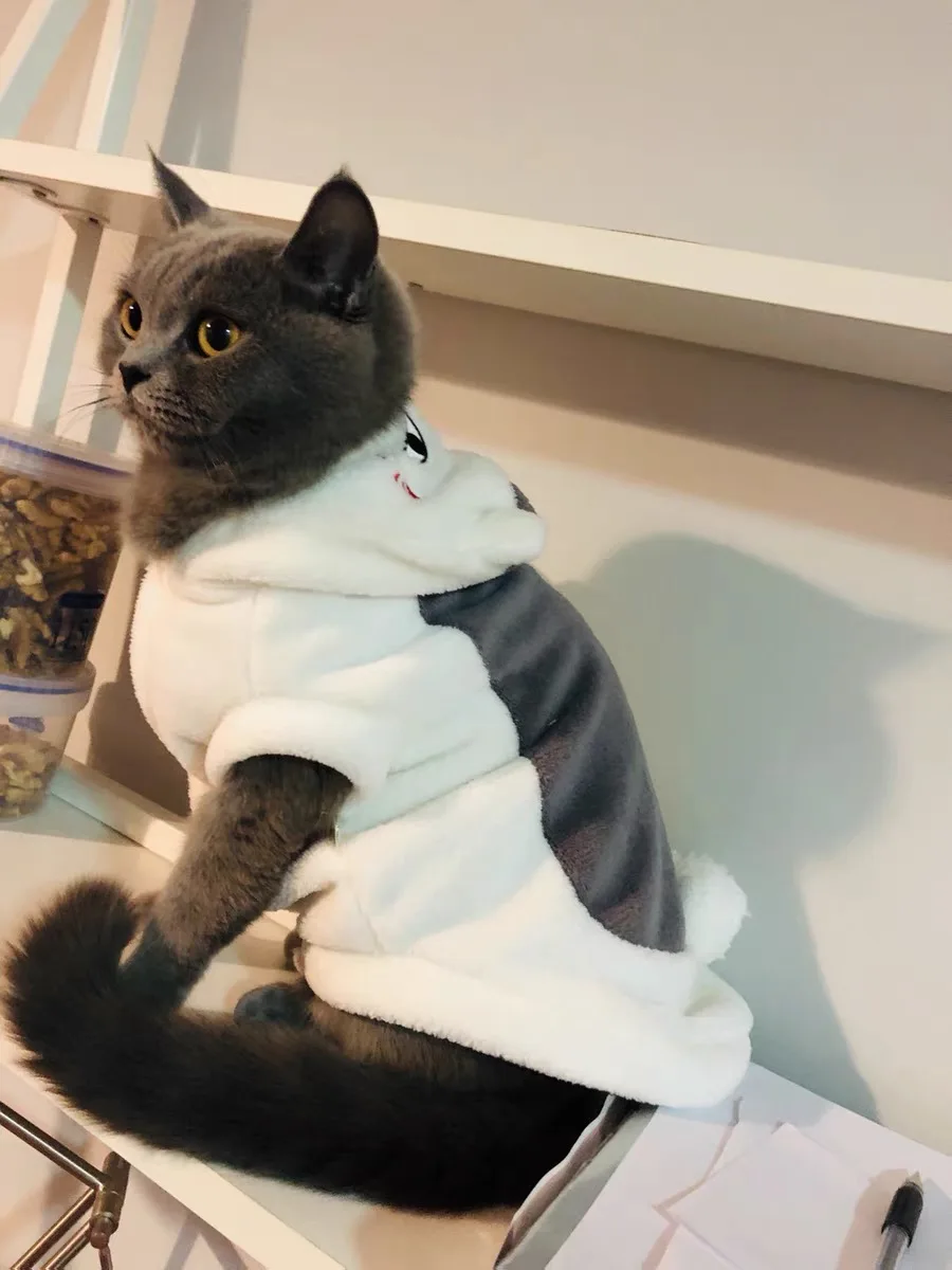 الحيوانات الأليفة زي هالوين الكلب هوديي القط هوديي المعلم الملابس هريرة معطف المرجان الصوف الكرتون الخريف الشتاء الكلب زي