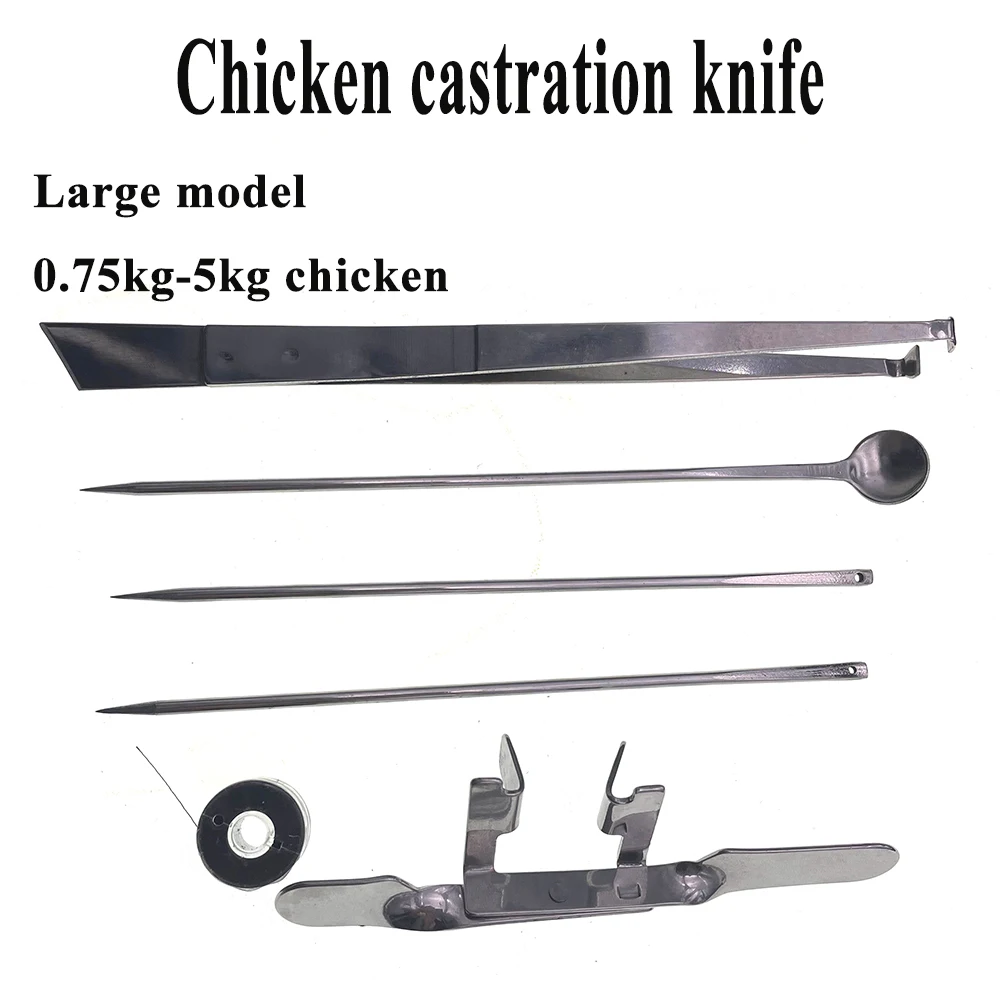 3PCS Stainless Steel Poultry Capon Kit Cock Rooster Caponizing Caponize Tools For Adult Chicken Day Old Chick Farm Clinic