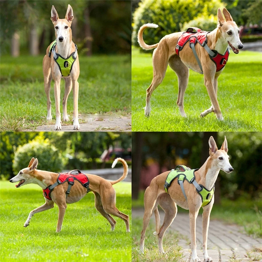 Dog Harness Breathable Reflective No Pull Pet Harness Vest For Small Large Dog Collar Outdoor Running Dogs Training Accessories