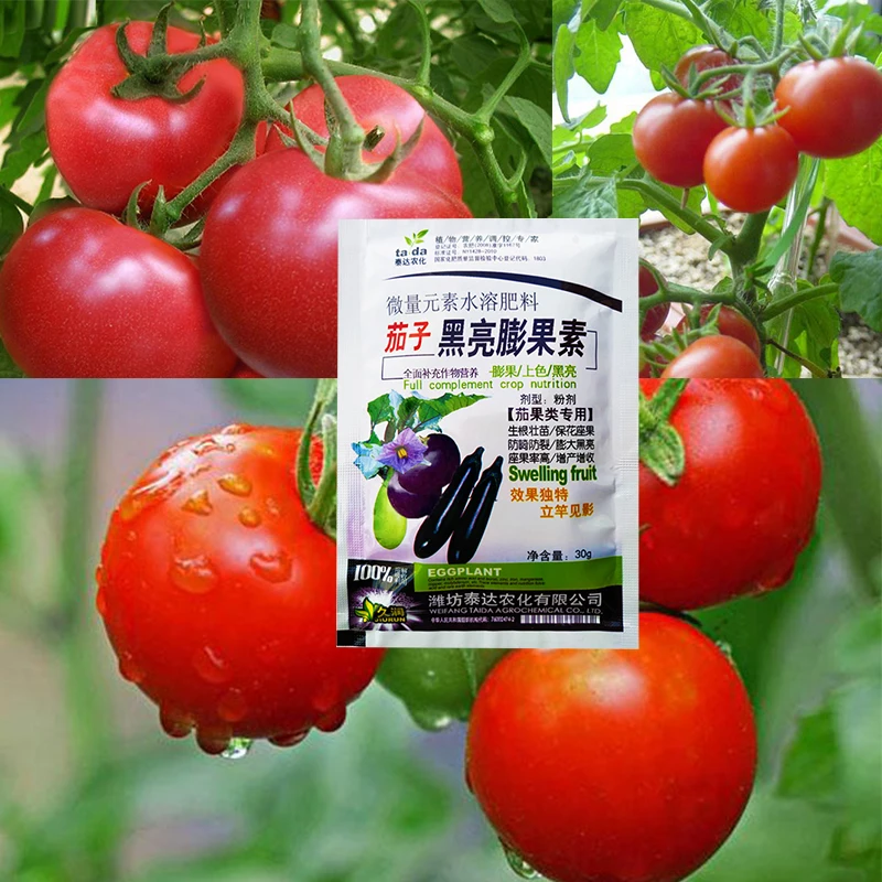 肥料tomatoeとナス野菜高速応援ガーデン植物食品根茎促進成長ルート作物水耕農場