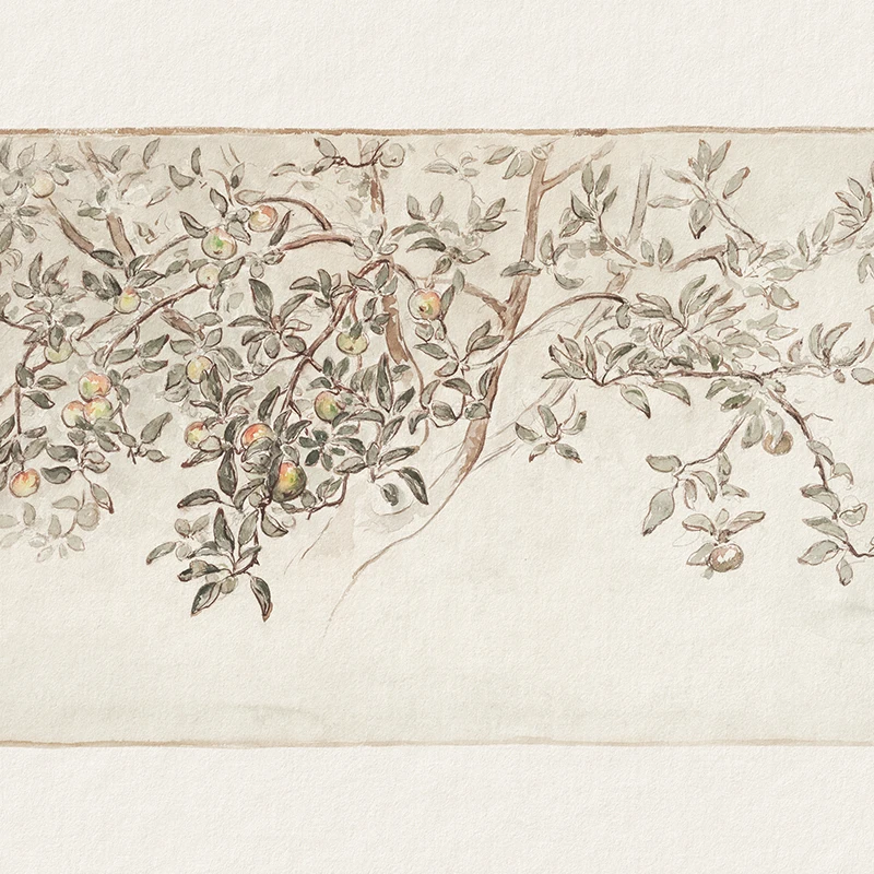 Vintage Apple Tree Sketch Prints Farmhouse Kitchen Wall Picture Antique Botanical Drawing Canvas Painting Rustic Country Decor