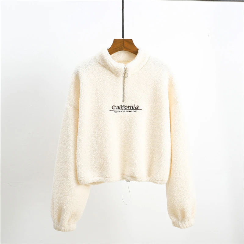 Autumn Clothes High Street Cashmere Thick Warm Sweatshirt Women California Letter Harajuku Embroidery Short Pullover Zipper Neck