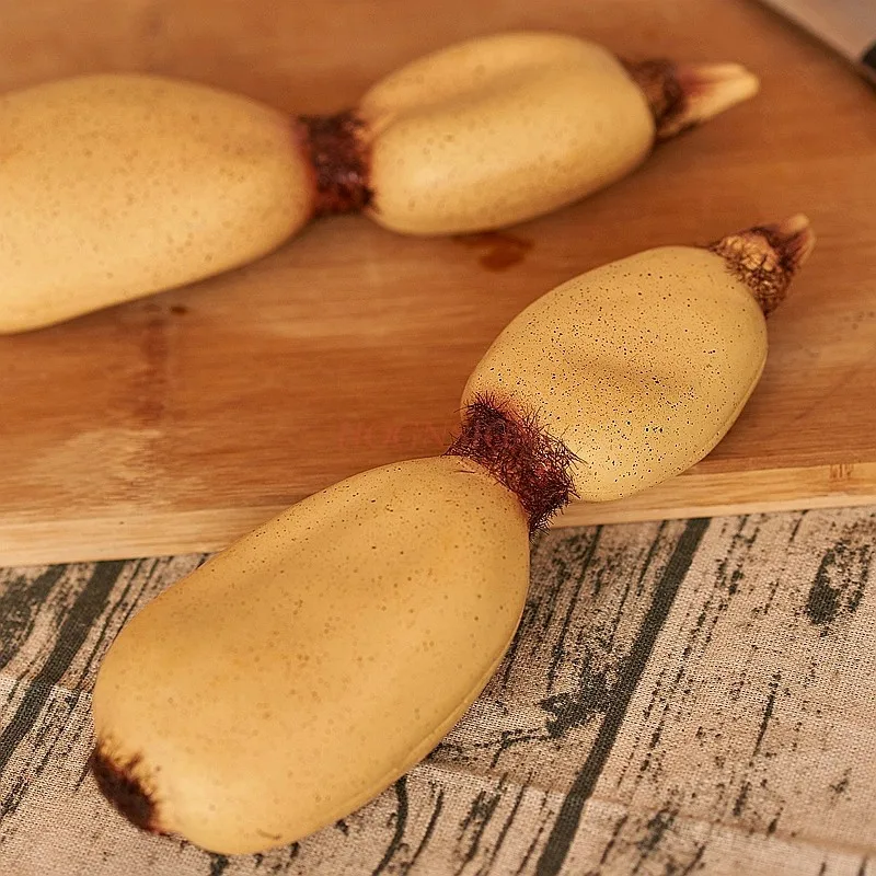 Simulation Food Vegetable Fruit Plastic Lotus Root Model Hotel Cabinet Model Room Decoration Shooting Props 2021