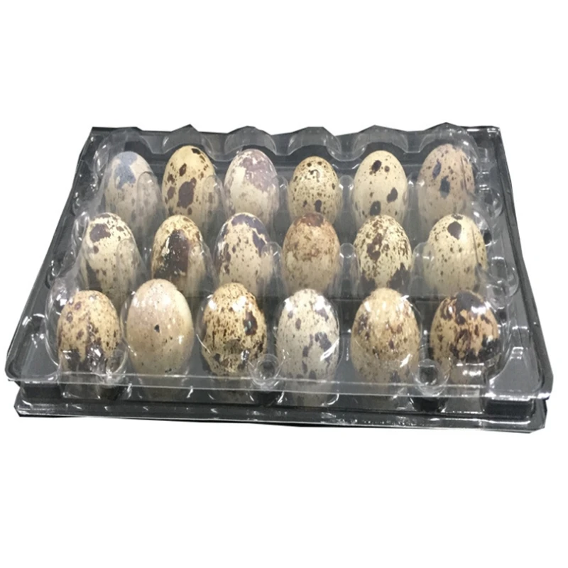 18 Holes Quail Eggs Container 6 holes 12holes 15 holes 20holes 24 holes 30 holes Plastic Clear Egg Packing Storage Boxes