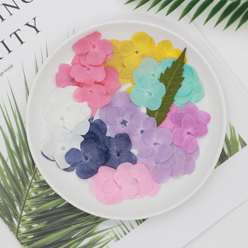 24pcs/1.5-3.5cm,Nature Pressed Dyed Hydrangea Flower Petals,Real flowers for Nail Art Decoration DIY Flora Gel Manicure Stickers