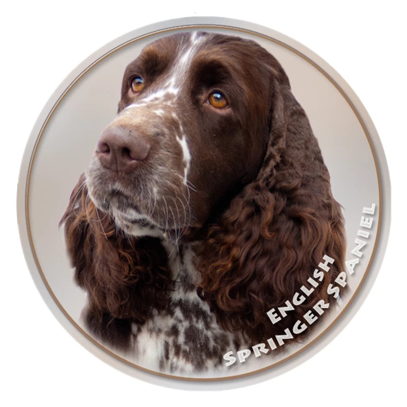 S40336# Various Sizes PVC Decal English Springer Spaniel Car Sticker For Bumper Rear Window Laptop Refrigerator Toilet