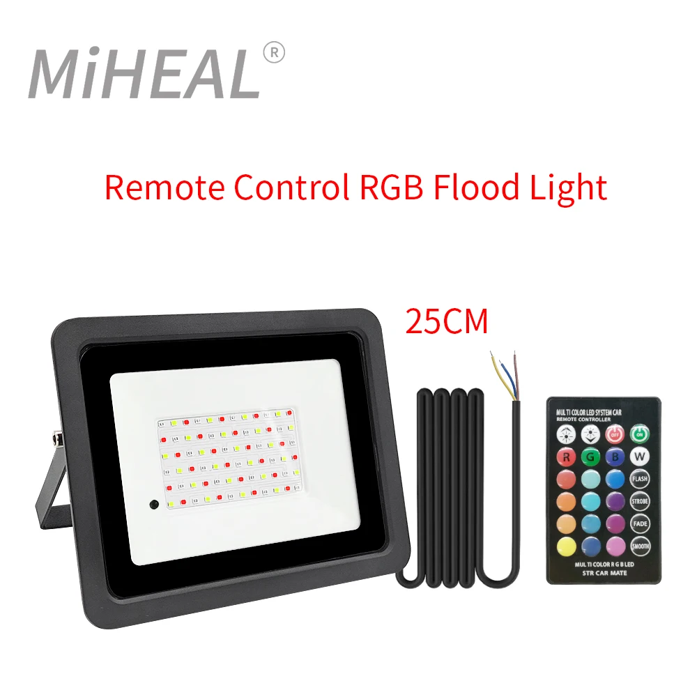 Led RGB Flood Light 50W 100W IP68 Outdoor Spotlight 220V RGB Reflector Projector Lamp With APP/Remote control