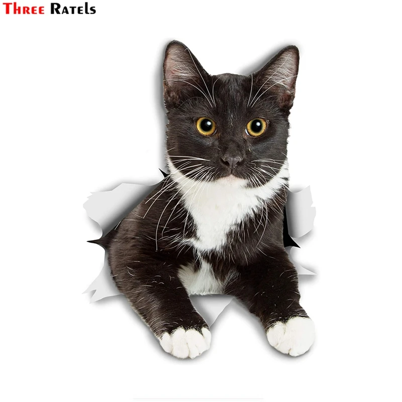 Three Ratels FTC-1093 3D Cat Sticker Resting Tuxedo Kitty Sticker For Car Wall Fridge Toilet Black And White Tuxedo Cat Decal