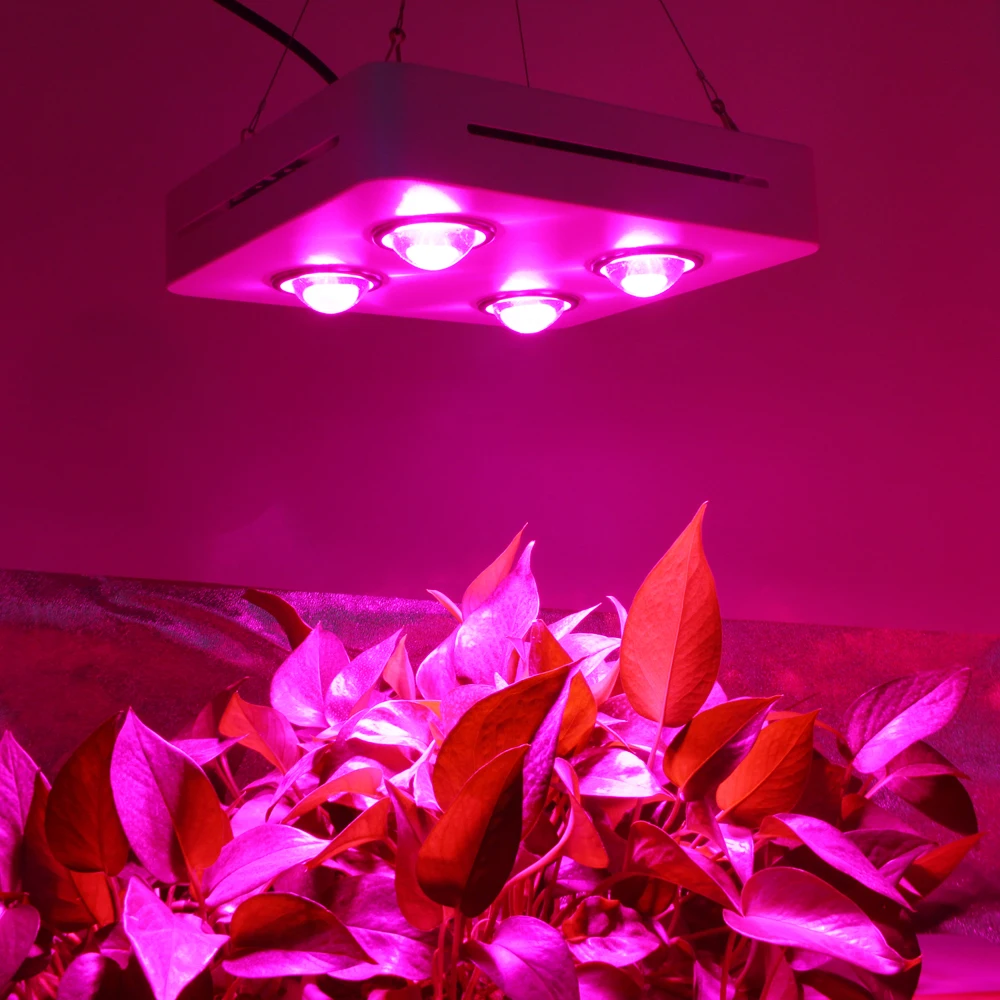 COB LED Plant Growth Light 300/600/900W Full Spectrum Is Best Matched With A Fan LED Driver For Indoor Plant Greenhouse Planting