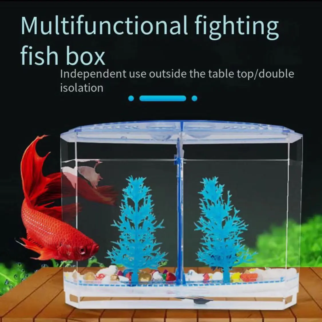 Small desktop small fish tank, ecological fighting fish tank, double grid design, plastic gold fish tank, aquarium accessories