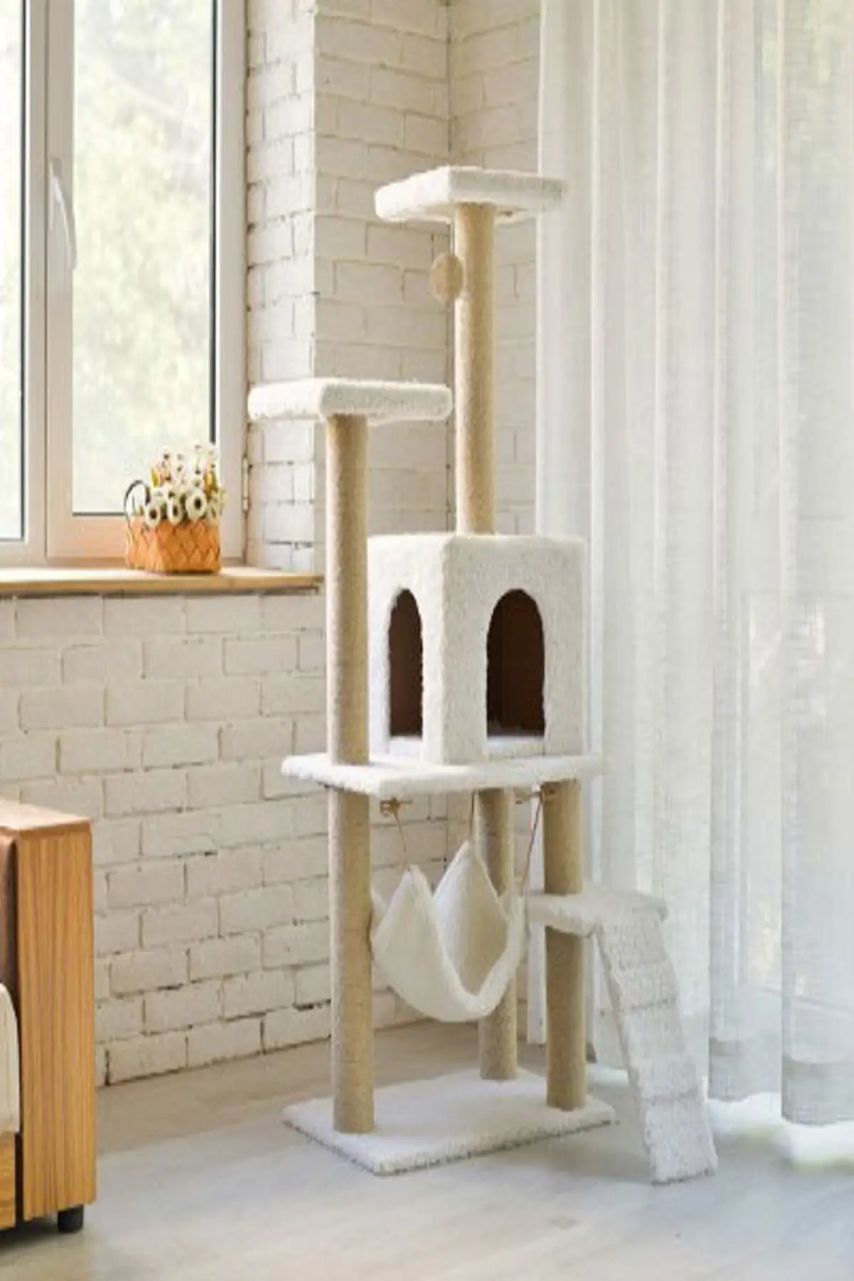 Casa do gato do palácio e arranhões