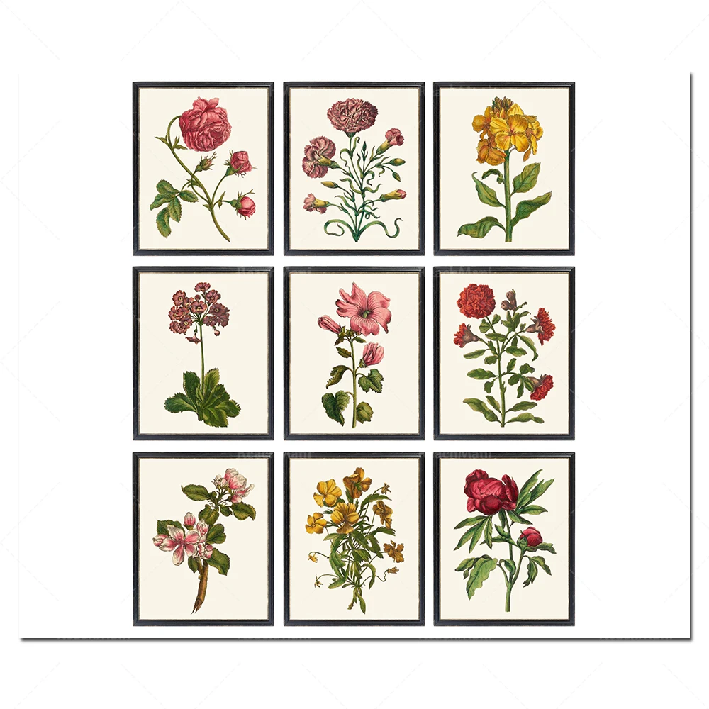 9 sets of antique flower printables, 18th century botanical flower illustrations, vintage flower murals