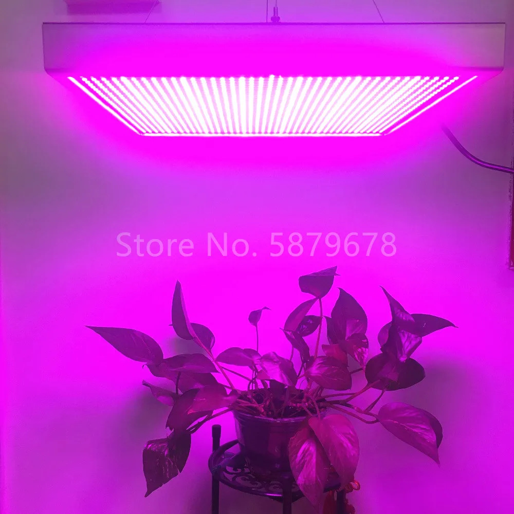 25W 45W 65W 120W LED Grow Light Full Spectrum for Flowering Plant and Hydroponics System indoor Grow Tent Greenhouse Lamp