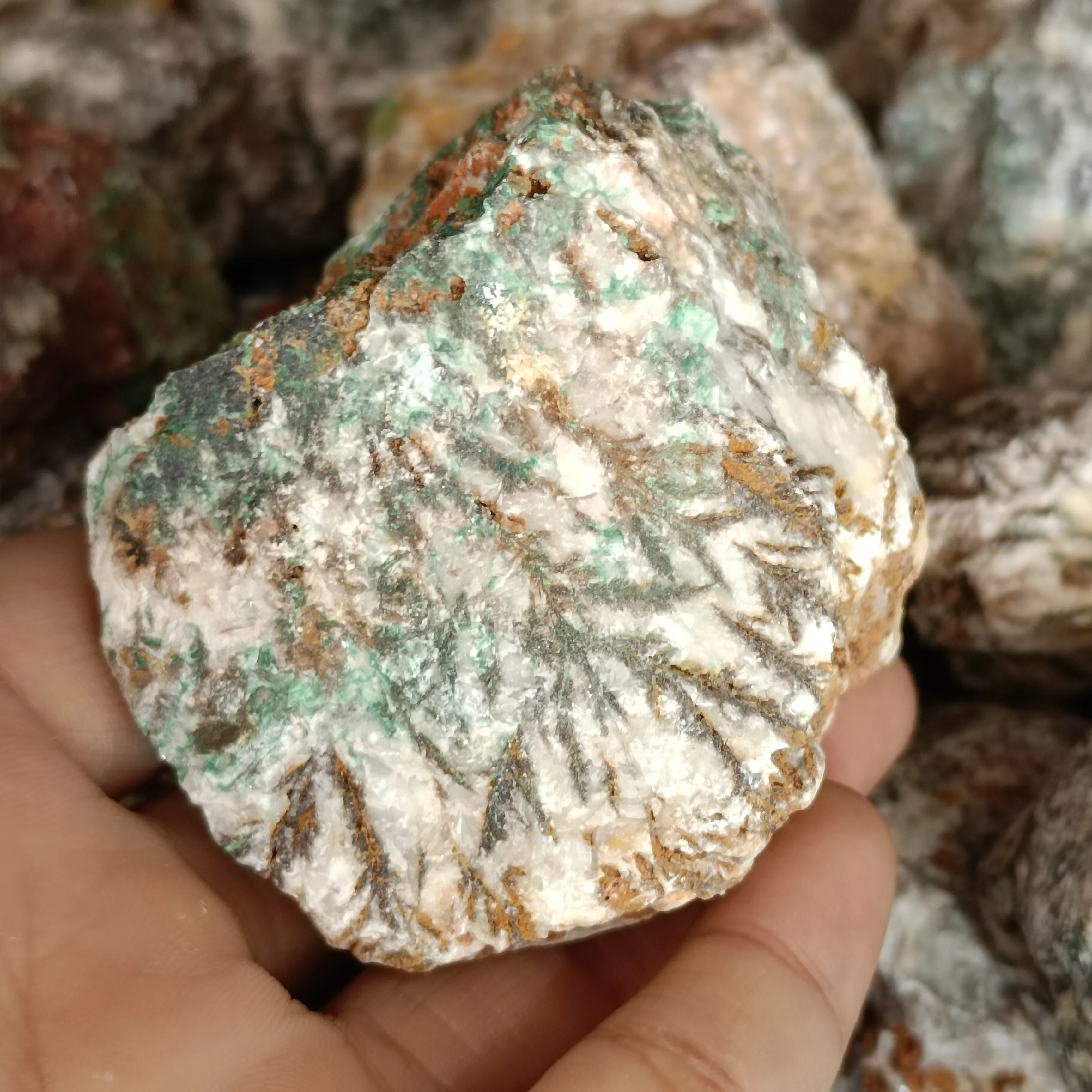 4-10cm 1pc Natural Verdigris Ore Rough Stones Dendritic Jade Minerals Stones Rough Gemstone Specimen