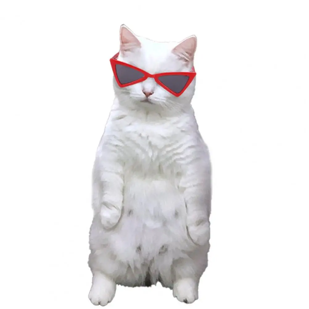 Pet Sunglasses  Long Lifespan   Cat Glasses Pet Cat Dogs Personality Glasses