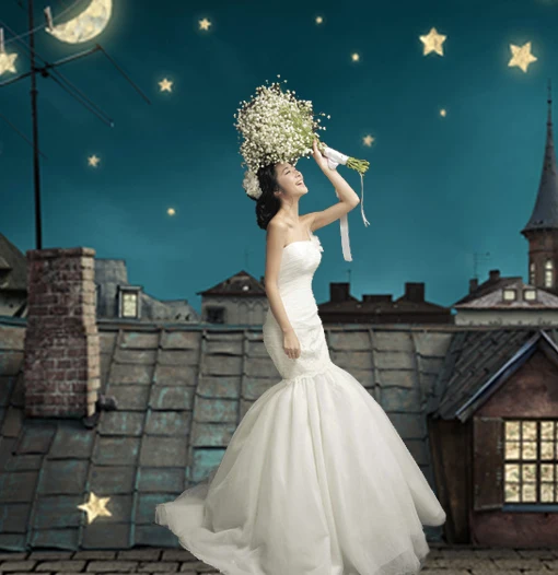 Night Sky Star Brick Roof Photo Backgrounds for Photo Studio Computer Printed Photography Backdrop for Wedding Children CM-5393