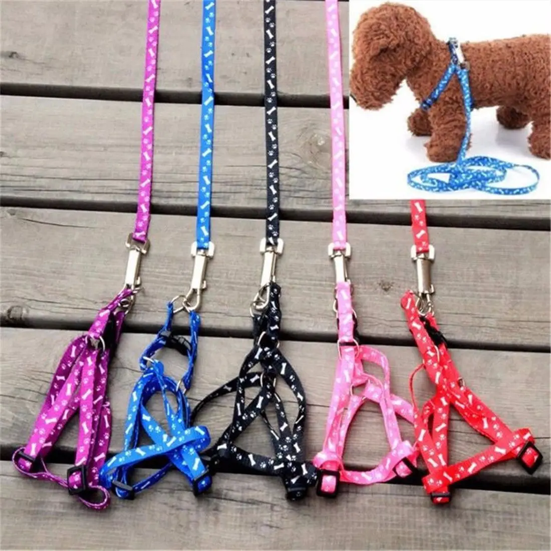 Correa para perro, gato pequeño, cachorro, gatito, conejo, arnés para perro, Collar de correa de plomo, poste del mismo día, Dropshipping, venta al por mayor