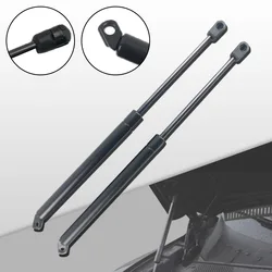 2 PCS Rear Tailgate Lift Support Struts Shock for Mercedes Benz W220 S350 2207500136