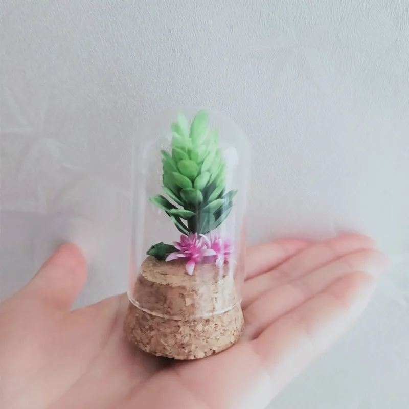 12sets/pack 3.7*8cm Mini Size Cork Base Glass Dome Home Decoration Dry Flower Bottle DIY Tube Cover