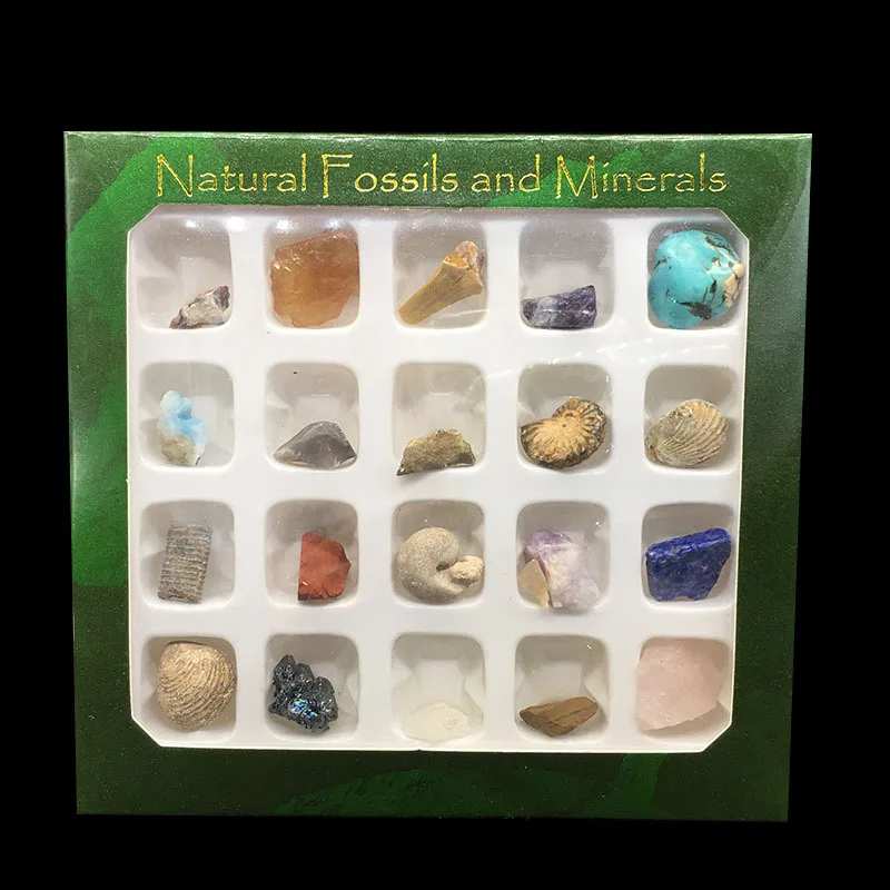 20pcs/Set Natural Crystal Stones Healing Minerals Rock Quartz Animal Shell Fossils Specimen Polished Gemstones Reiki Energy