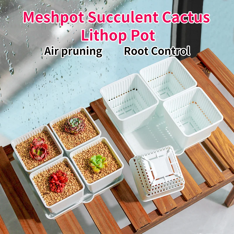 Meshpot 6 cm/7 cm Sukkulenten Topf Kunststoff Blumentopf Kaktus Pflanzer Wurzel Steuerung Gute Luft System Garten liefert Hause Dezember – Detail 2
