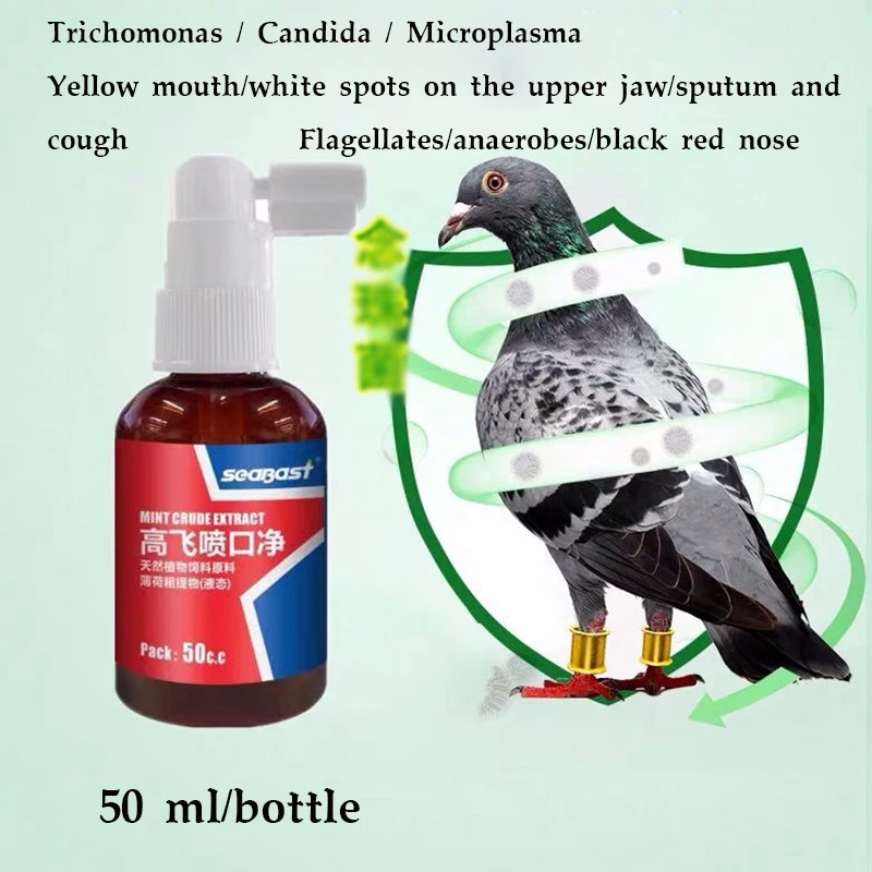 

Pigeon vent cleansing pigeon oral spray cleaning trichomoniasis white spots on the upper jaw of the respiratory tract oral ulcer