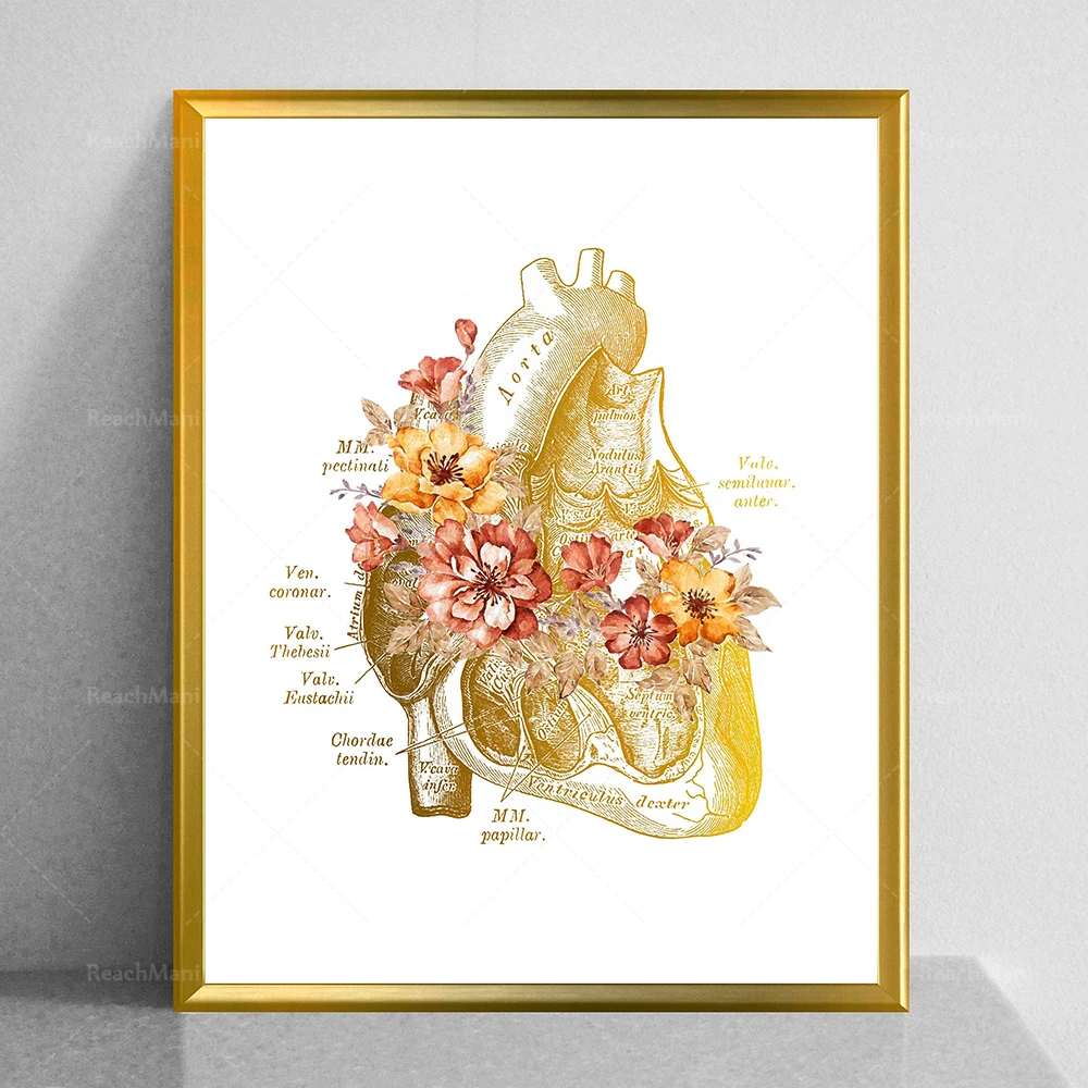 Gold Human Heart Anatomy Prints, Cardiology Art, Anatomical Heart Poster, Medical Art, Cardiologist Gift, Surgeon Gift, Doctor O