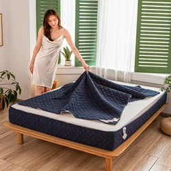 High Quality Zipper Quilted Mattress Cover King Queen Twin Size Removable Six-sides All-inclusive Anti-mite Bed Protector Cover