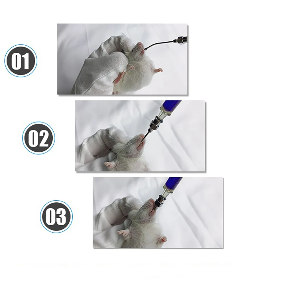 1PCS Stainless Steel Gavage Gastric Applicator Dosing Drench Nozzle For Rats Mice Parrots Pet Birds Feeding Manual Lab Equipment