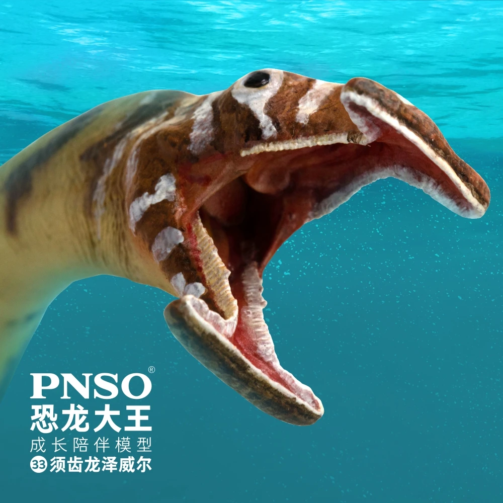 PNSO Prehistoric Dinosaur Models:33 Zewail The Atopodentatus