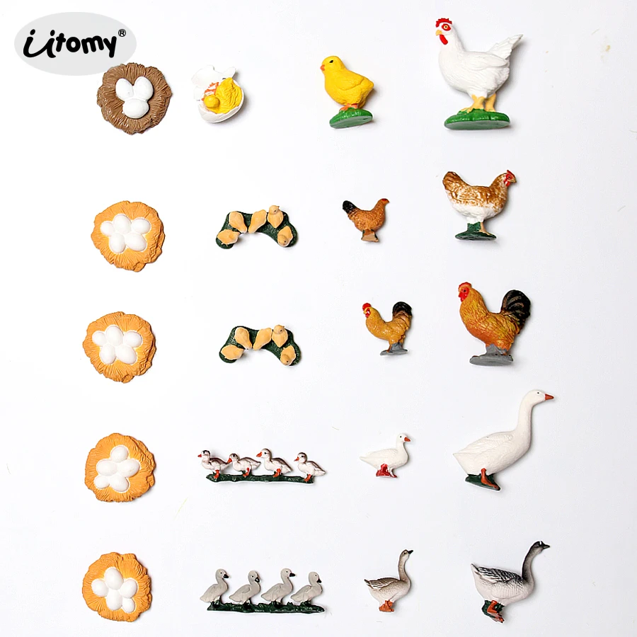 

Simulation goose hen Rooster Growth Cycle poultry Life Cycle chicken Models Animal Figures Educational Figurines toys for kids