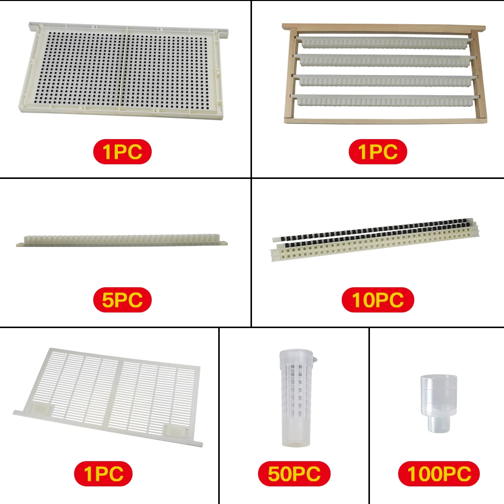 Beekeeping Queen Rearing System For Producing For Apis Mellifera No Need Shift Migratory Bee Larvae Tool