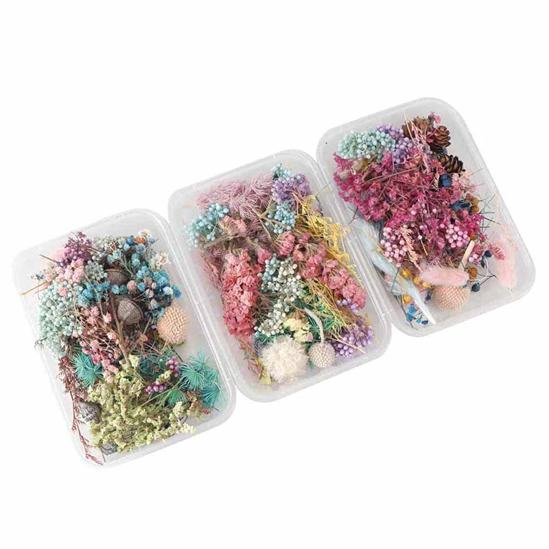 1 Box Random Mix Style Dried Flowers Decoration Natural Floral Sticker Dry Beauty Nail Art Decals Epoxy Mold DIY Filling Jewelry image 5