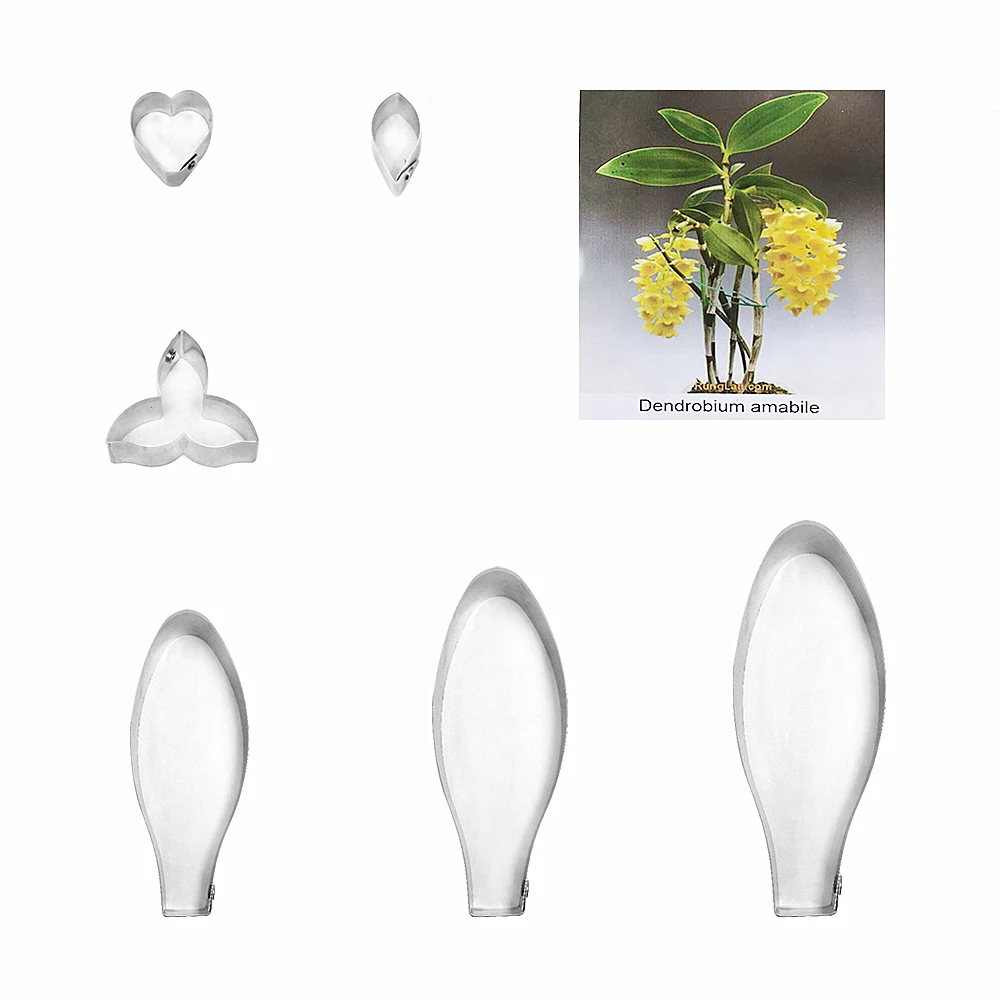 Dendrobium amabile fondant sugar flower cutters baking cake decorations Polymer Clay Cold Porcelain gumpaste tools