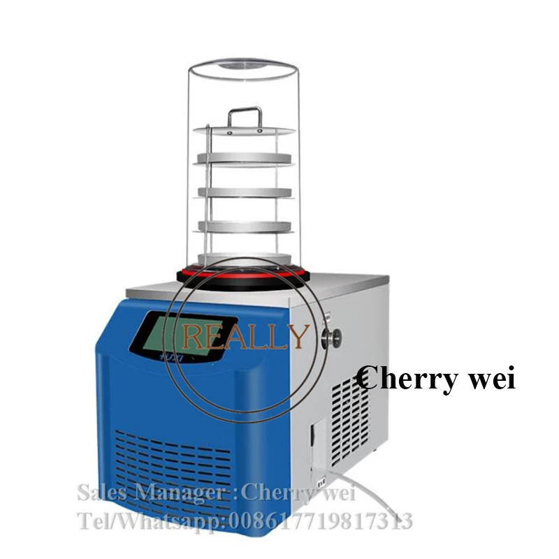 0.12 Square meters mini freeze dryer for home /lab Fruit And Vegetable Drying Machine