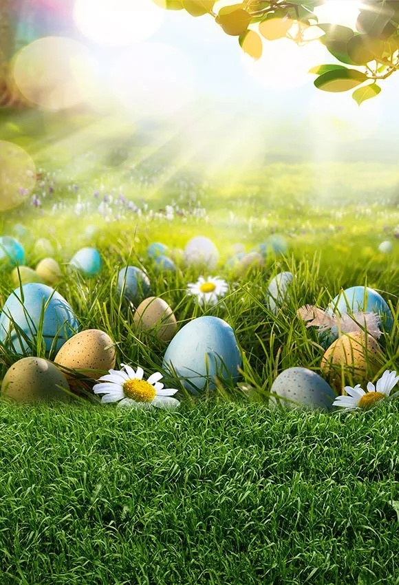 

Sun shining Easter photography backgrounds portrait vinyl children photo backdrops of kids photo studio props Fotografia LV-1715