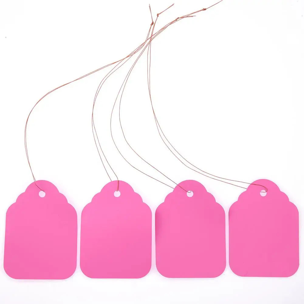 Étiquettes de jardin à suspendre pour plantes, 100 pièces/lot, signes, semis, Pot de fleur, plaque d'immatriculation, étiquettes suspendues, outils de jardin réutilisables en PVC