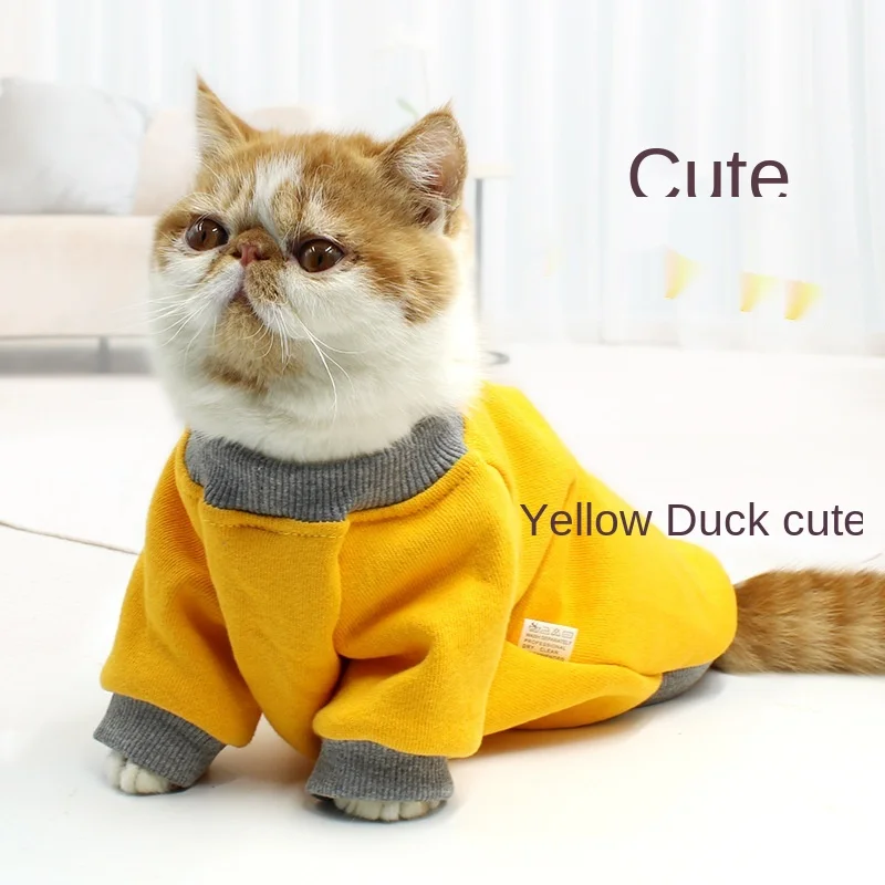 Cat clothes for autumn and winter Plus velvet warmth thick Two-legged Blue cat kitten pet   sweater Small dog 