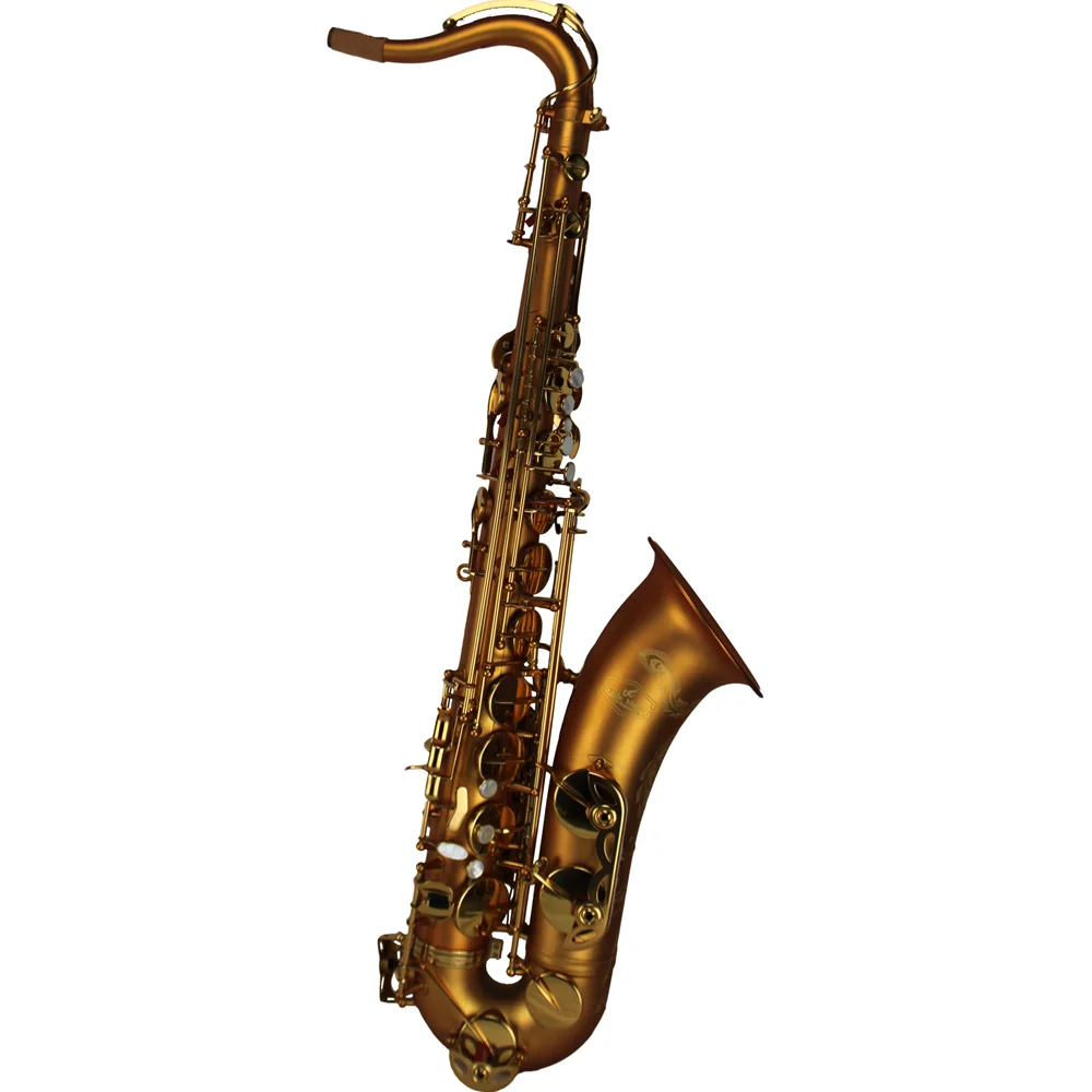 Tenor Saxophone Professional Vintage Satin Gold Classic structure