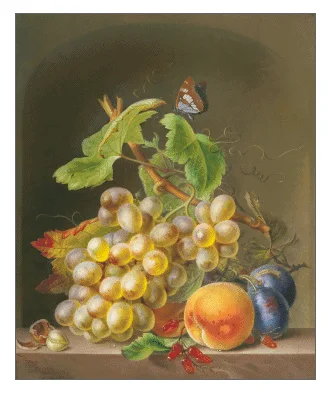 

Still life with Grape Fruit and a Butterfly Cross Stitch Kits Needlework 14CT Unprinted Embroidery Top Quality Counted DIY