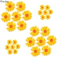 PE6304CT