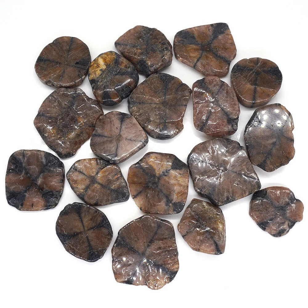 Natural Chiastolite Tumbled Stone Flake Healing Crystal Mineral Specimen Bulk Gemstone For DIY Pendant Necklace Jewelry Making