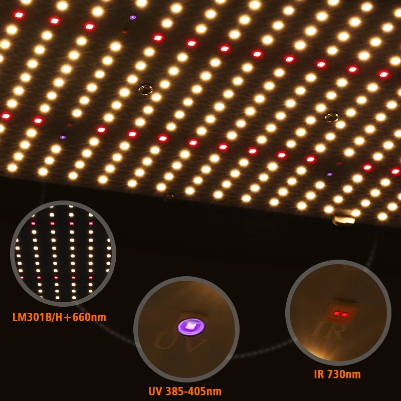 6 pezzi LM301H Quantum LED Grow Panel Board Spettro completo 3000K 3500K 4000K 660nm UV IR per illuminazione della crescita delle piante