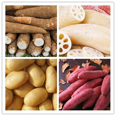 تستخدم المزرعة آلة تقطيع البطاطس الحلوة آلة تقطيع الجزر الكسافا