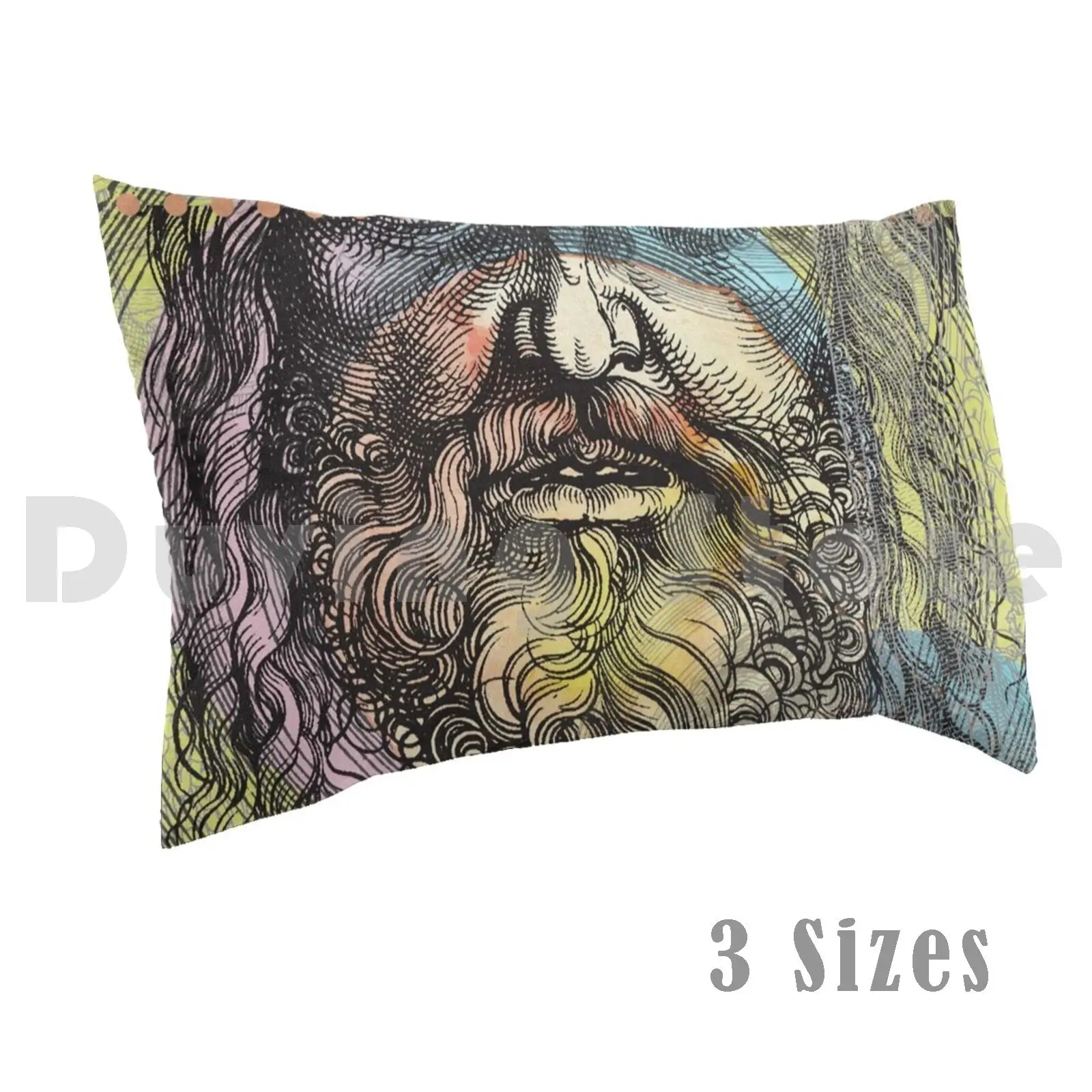 Philosopher Or Hipster ? Pillow Case DIY 50*70 Beard Hipster Etch Cool Philosophy Colorful Retro Old Old