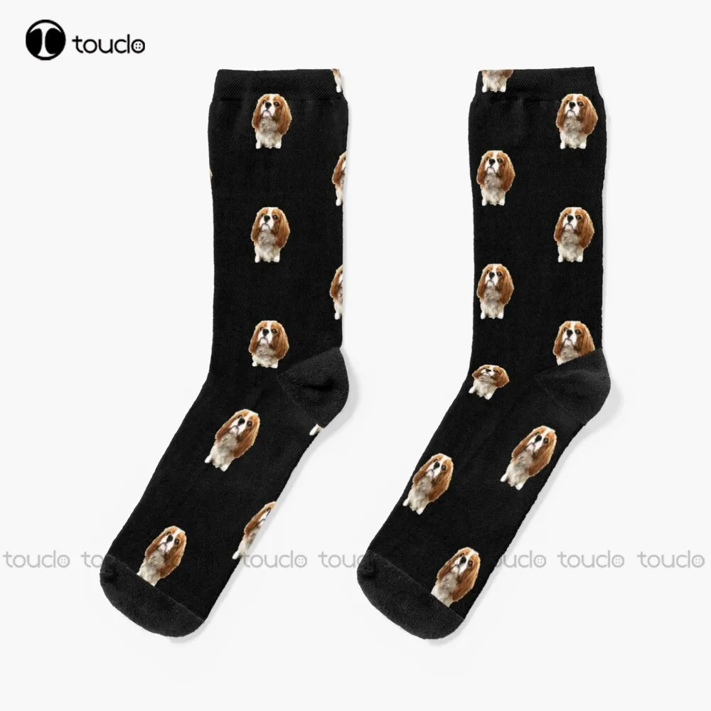 Bert The Cavalier King Charles_Spaniel Socks Soccer Socks Girls Unisex Adult Teen Youth Socks Custom Gift 360° Digital Print