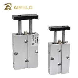 TN Twin Rod Guided Pneumatic Cylinder Dual Shaft Non-Rotating 10 16 20 25 32 40mm Bore Double Acting Built-in Magnetic DMSJ