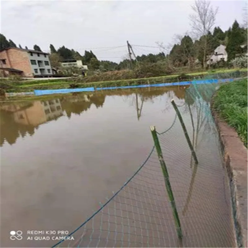 10m 50m Plastics Agricultural protection net Gardening net Garden fence Bird net Breeding Climbing rattan net Chicken Cat net