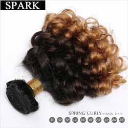 Spark Human Hair Extension Ombre Brazilian Loose Bouncy Curly Hair Bundles 3 Tone Ombre Remy Hair Weave Bundles Black Women L